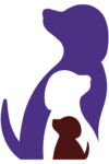 cropped-DAP-favicon.png