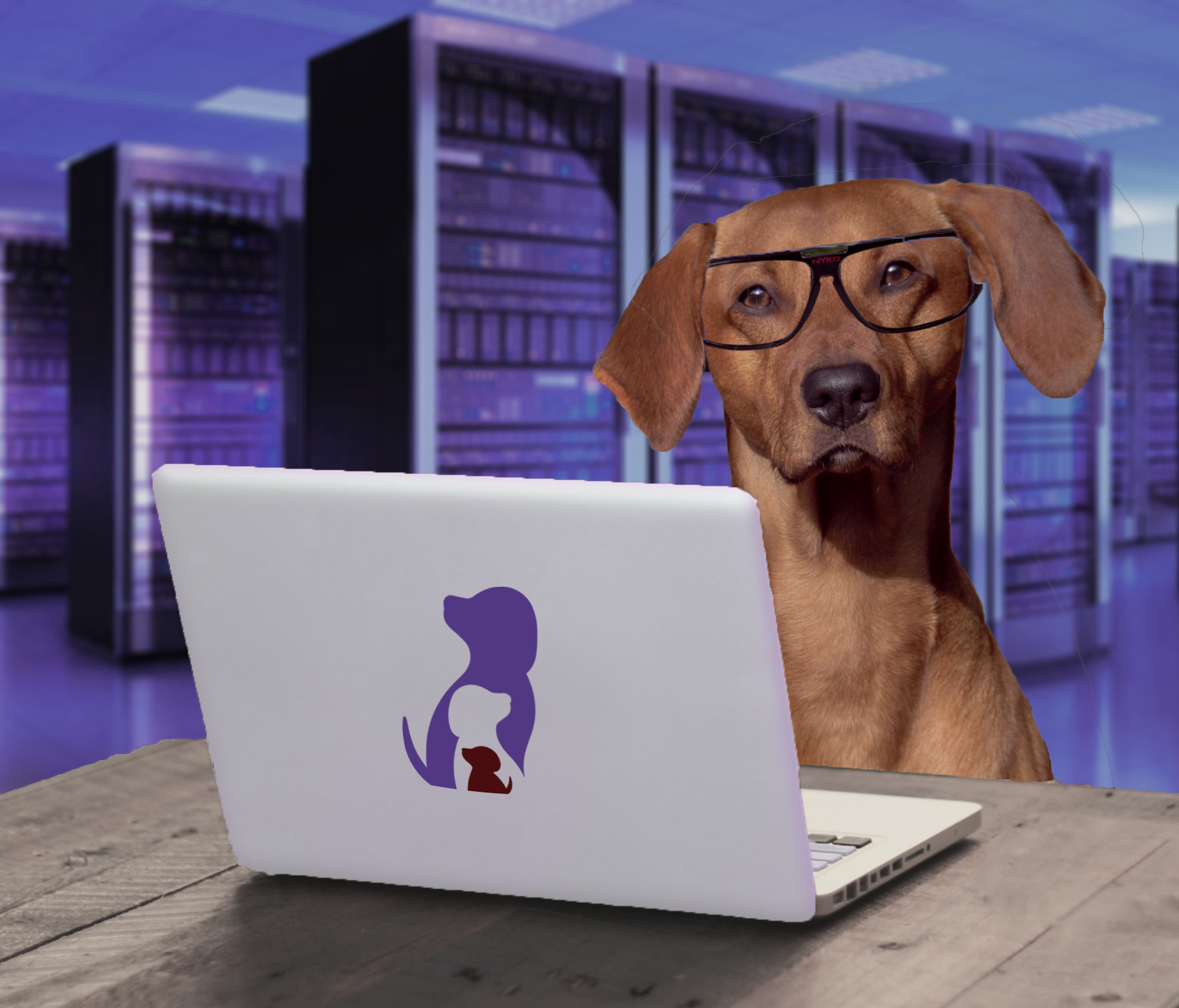 Windows Loading Dog dog-using-laptop-computer.png