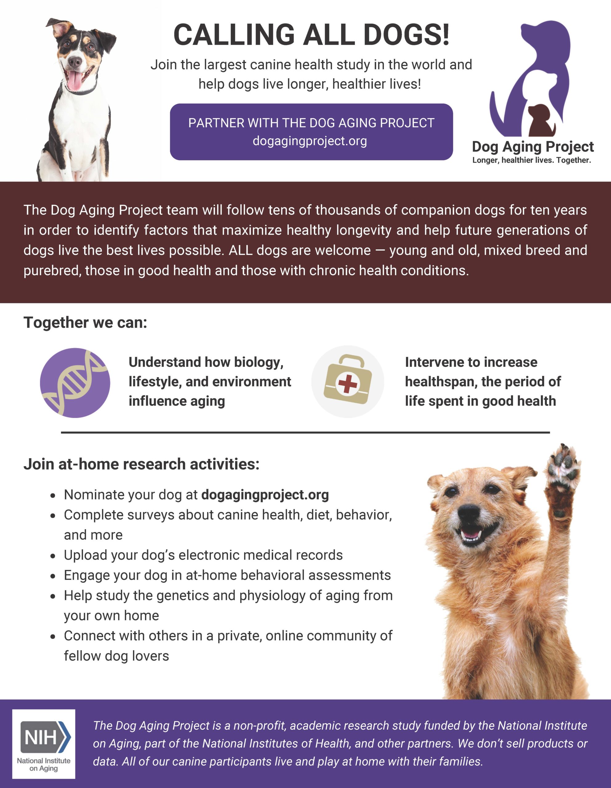 Helping dogs live longer, healthier lives