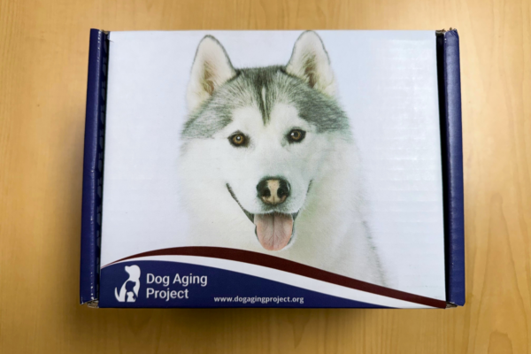 Precision Kit: a box with a close-up image of a husky dog's face. The Dog Aging Project logo and website are visible at the bottom.