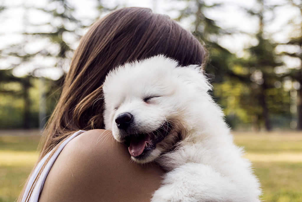 Happy woman playing in the Park with a white fluffy dog