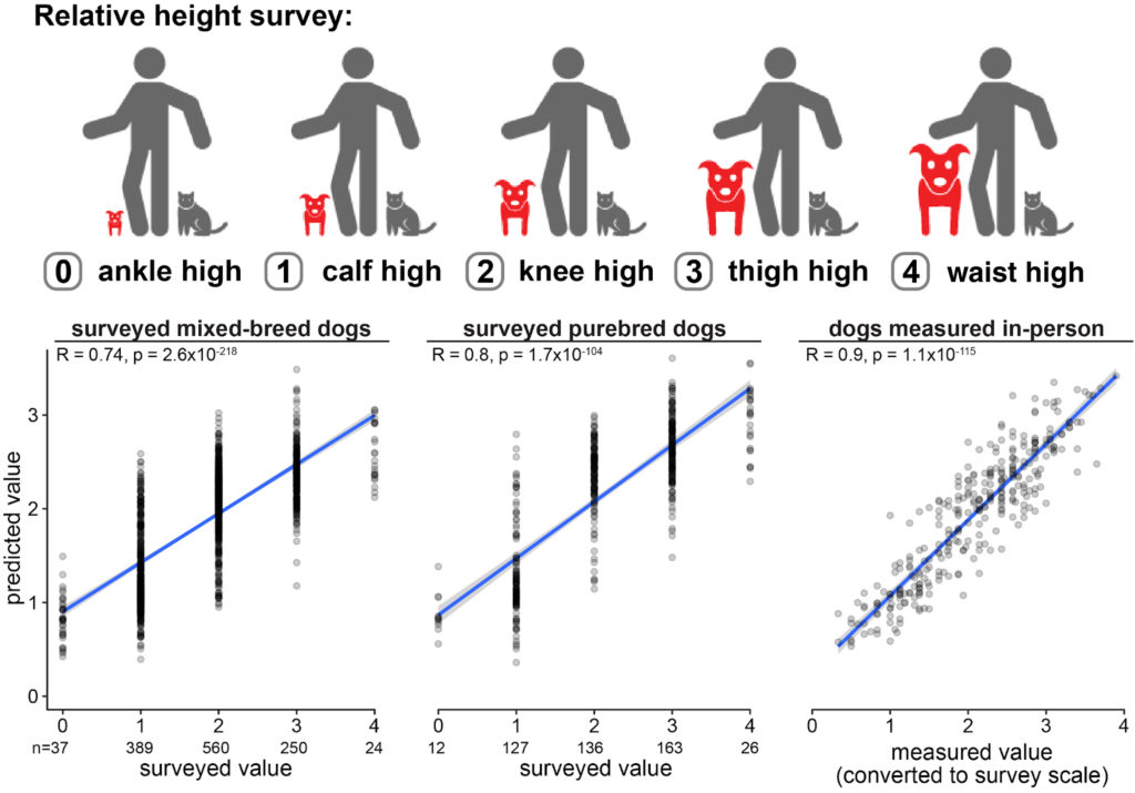 Relative height survey results, charted