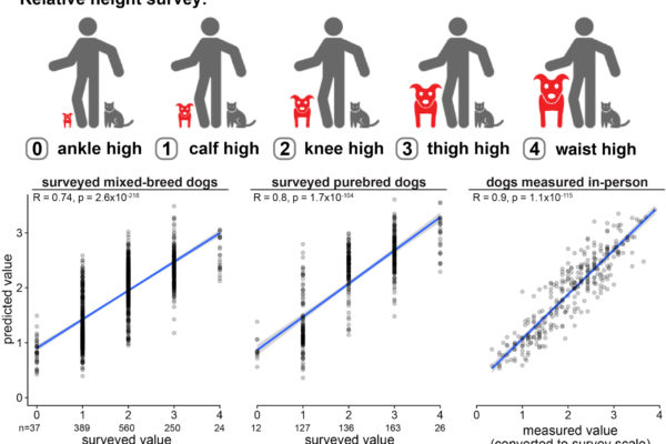 Relative height survey results, charted