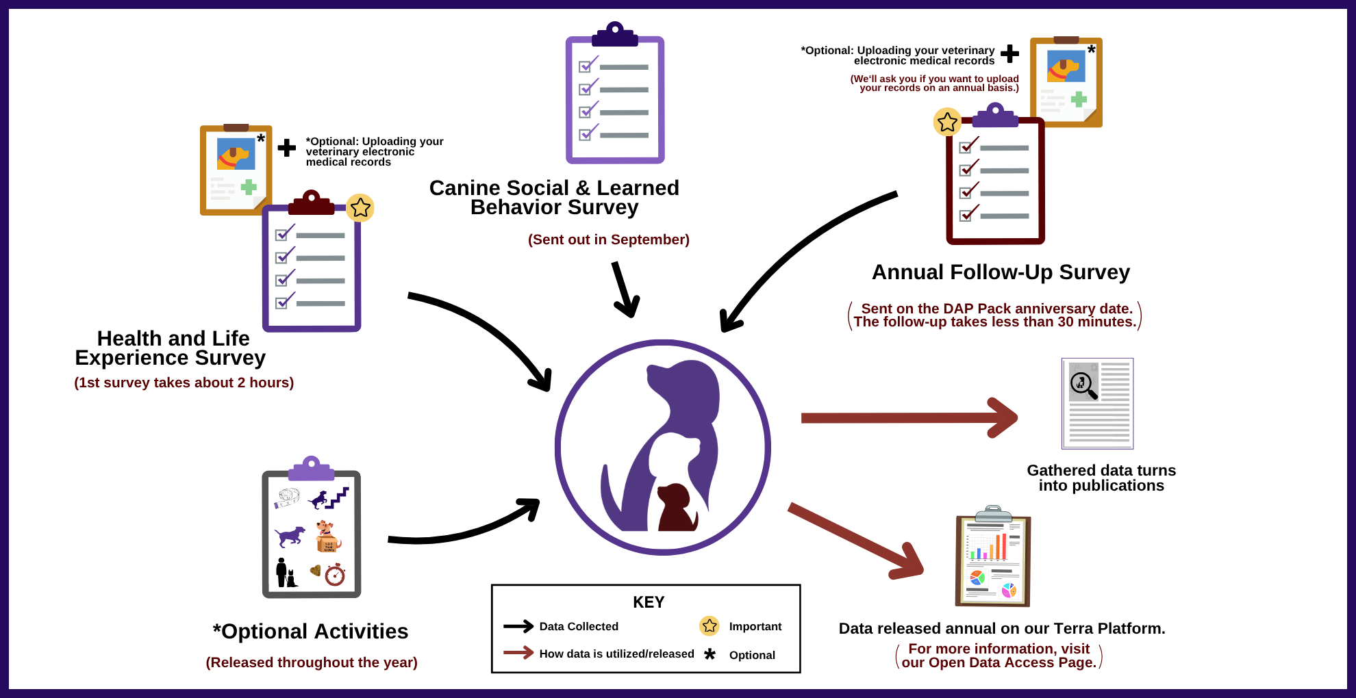 A graphic illustrating how the Dog Aging Project collects data from surveys and activities, and disseminates findings through data releases and research publications.