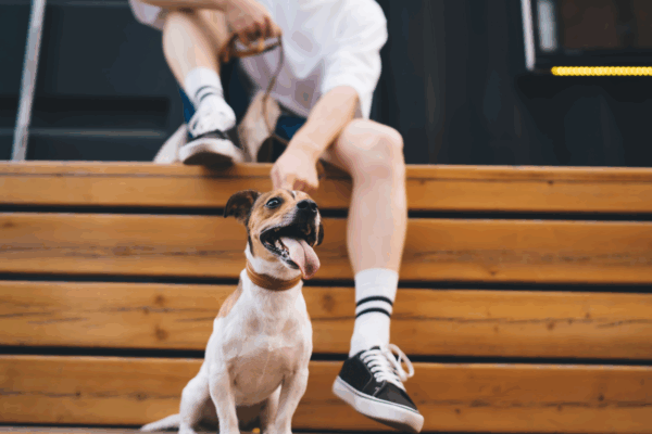 a person sitting on a bench with their dog