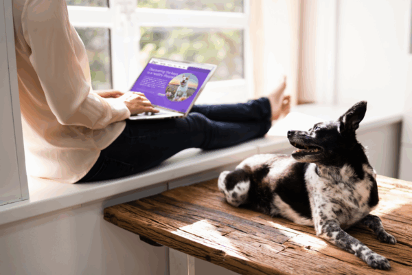 A woman sits next to a window, viewing her laptop, which displays the Dog Aging Project Homepage, with her dog sitting next to her.