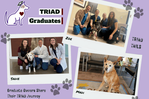 Collage of pics of the three TRIAD Graduates, dogs. Two photos with a group of people sitting with a dog, and one photo of a dog sitting on the floor.