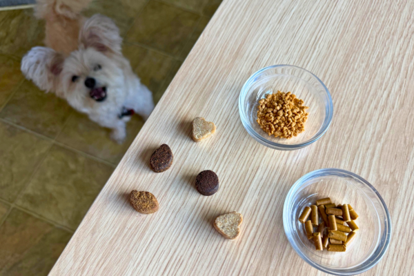 A fluffy white dog looks up at a wooden table with several dog supplements arranged in a circle and two small bowls of dog food.