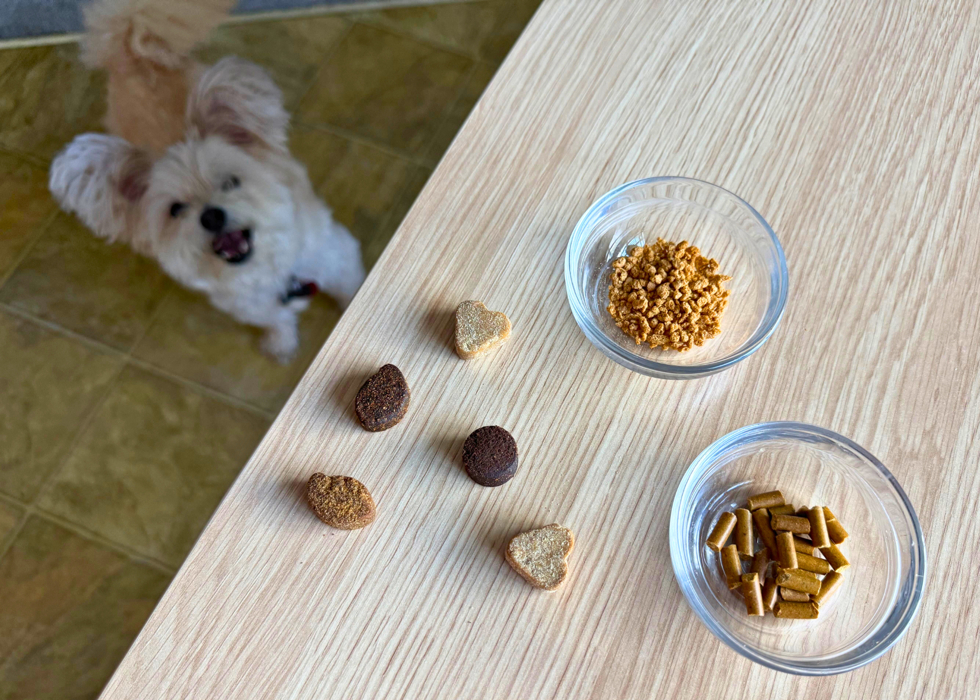 What half of 40,000 dogs taught us about supplements